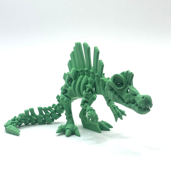 Skeleton Spinosaurus