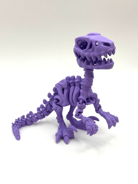 Skeleton Raptor