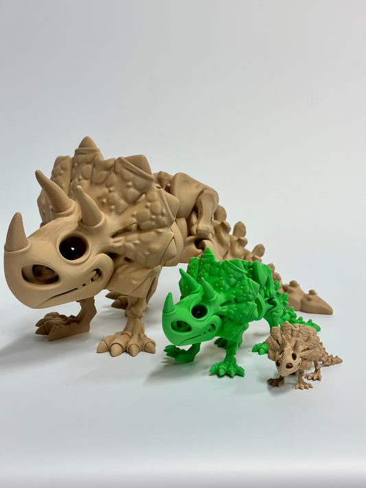 Skeleton Triceratops