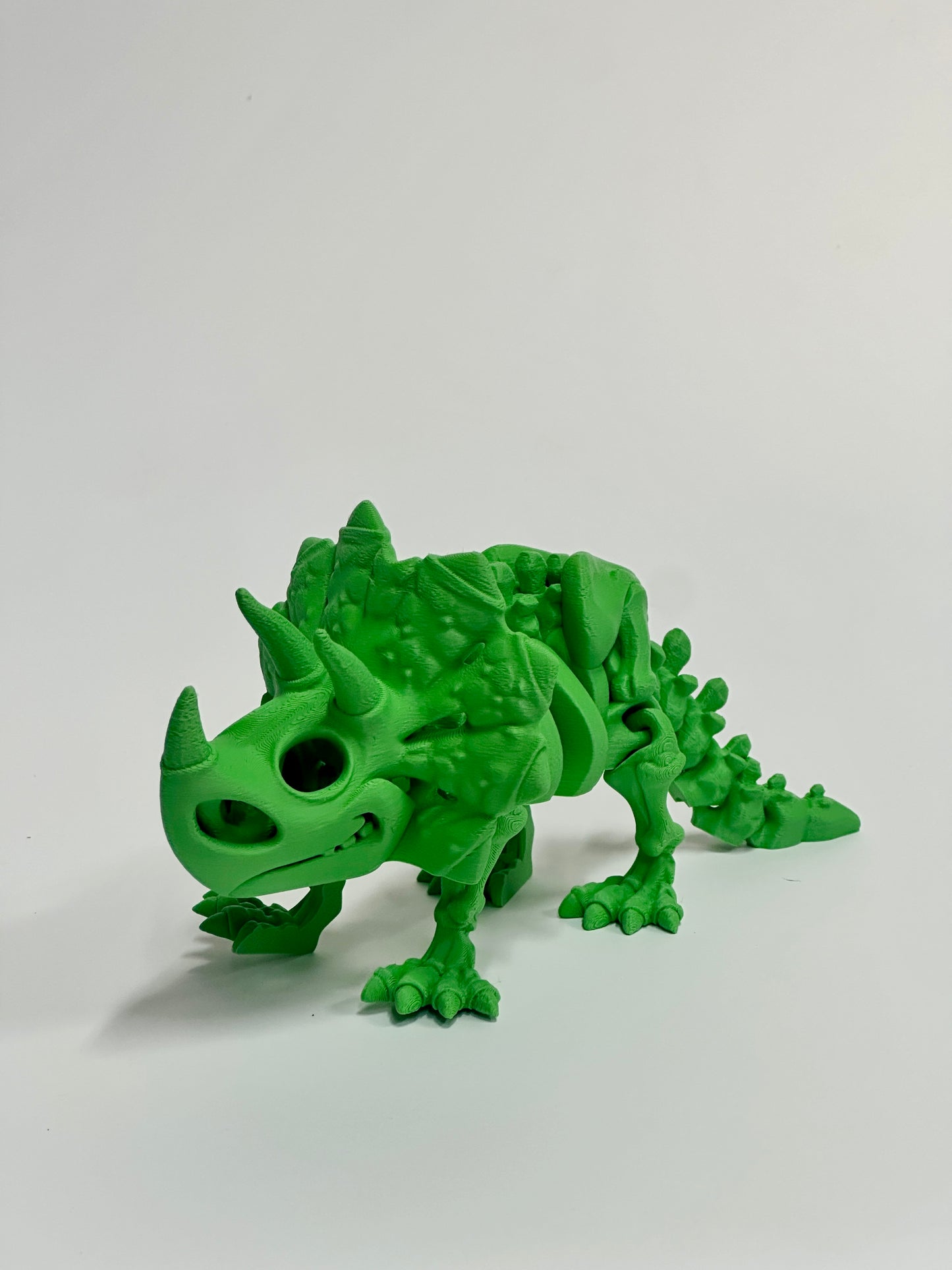 Skeleton Triceratops