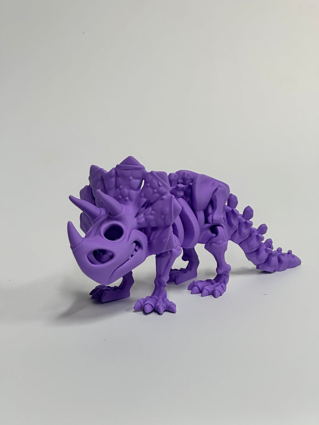 Skeleton Triceratops