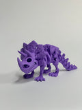 Skeleton Triceratops