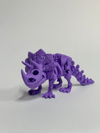 Skeleton Triceratops