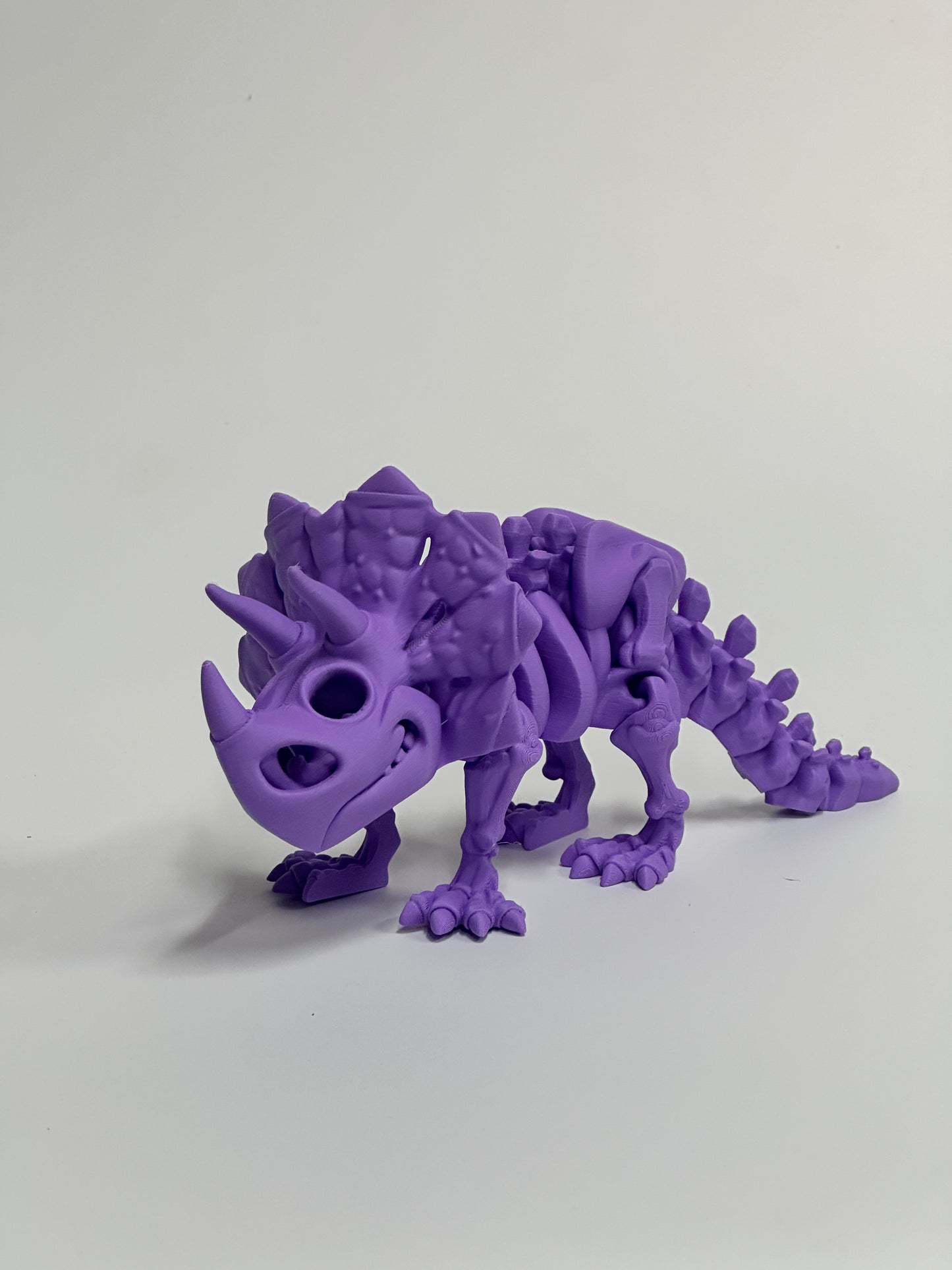 Skeleton Triceratops
