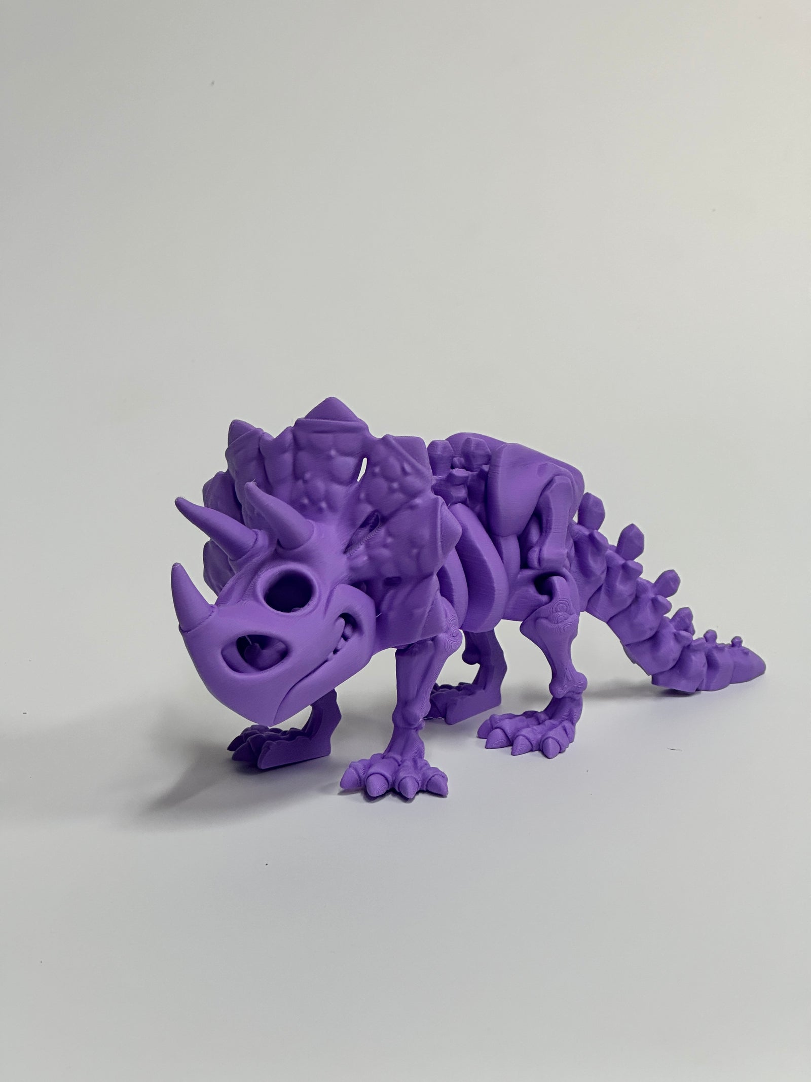 Skeleton Triceratops