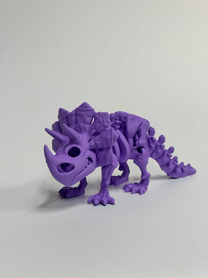Skeleton Triceratops