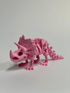 Skeleton Triceratops