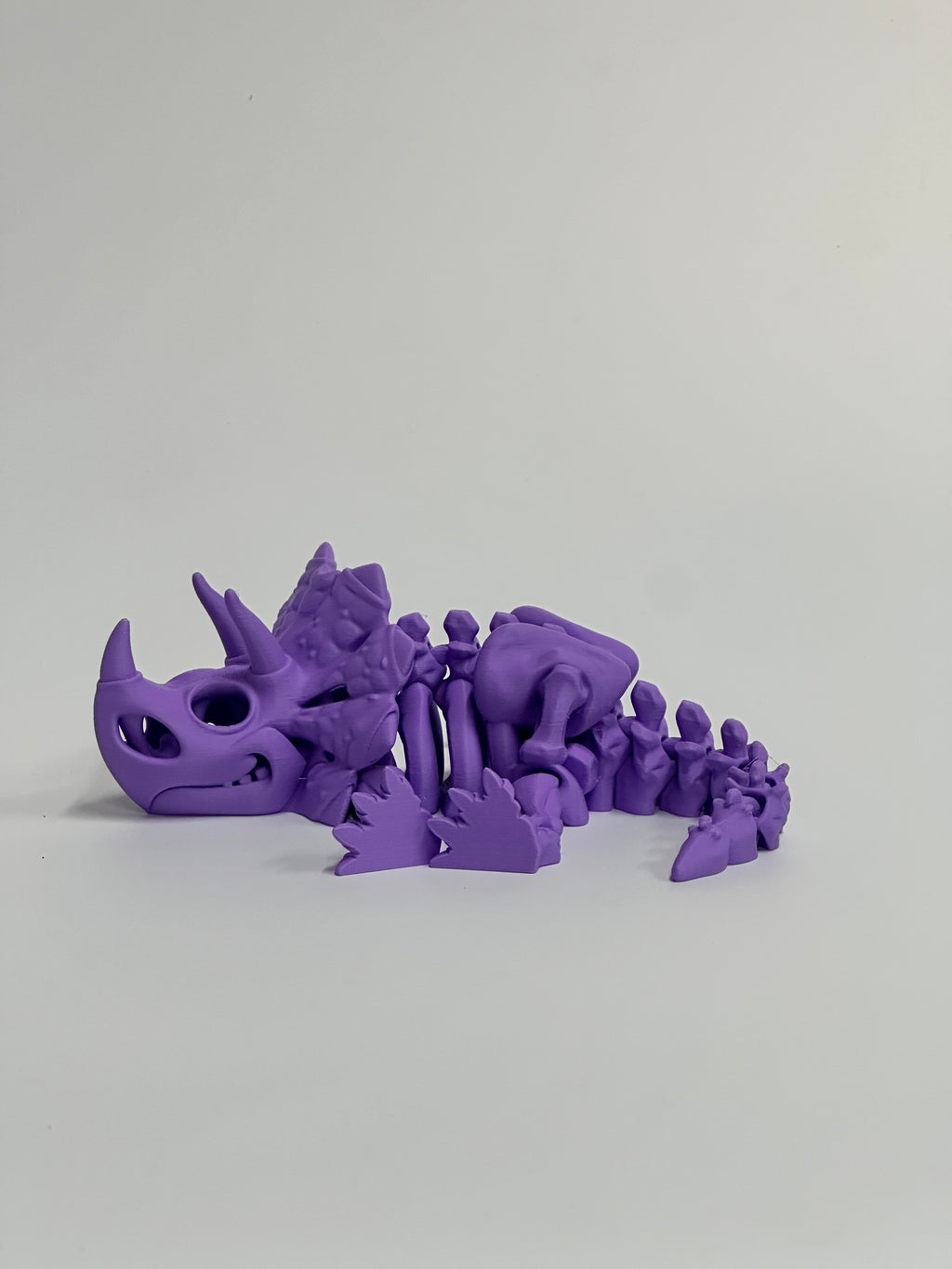 Skeleton Triceratops
