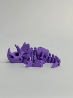 Skeleton Triceratops