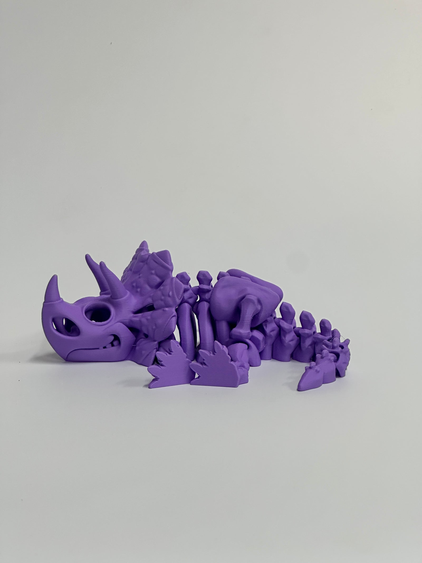 Skeleton Triceratops
