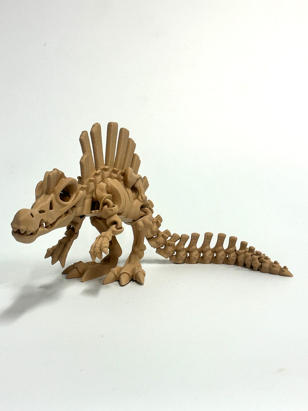 Skeleton Spinosaurus