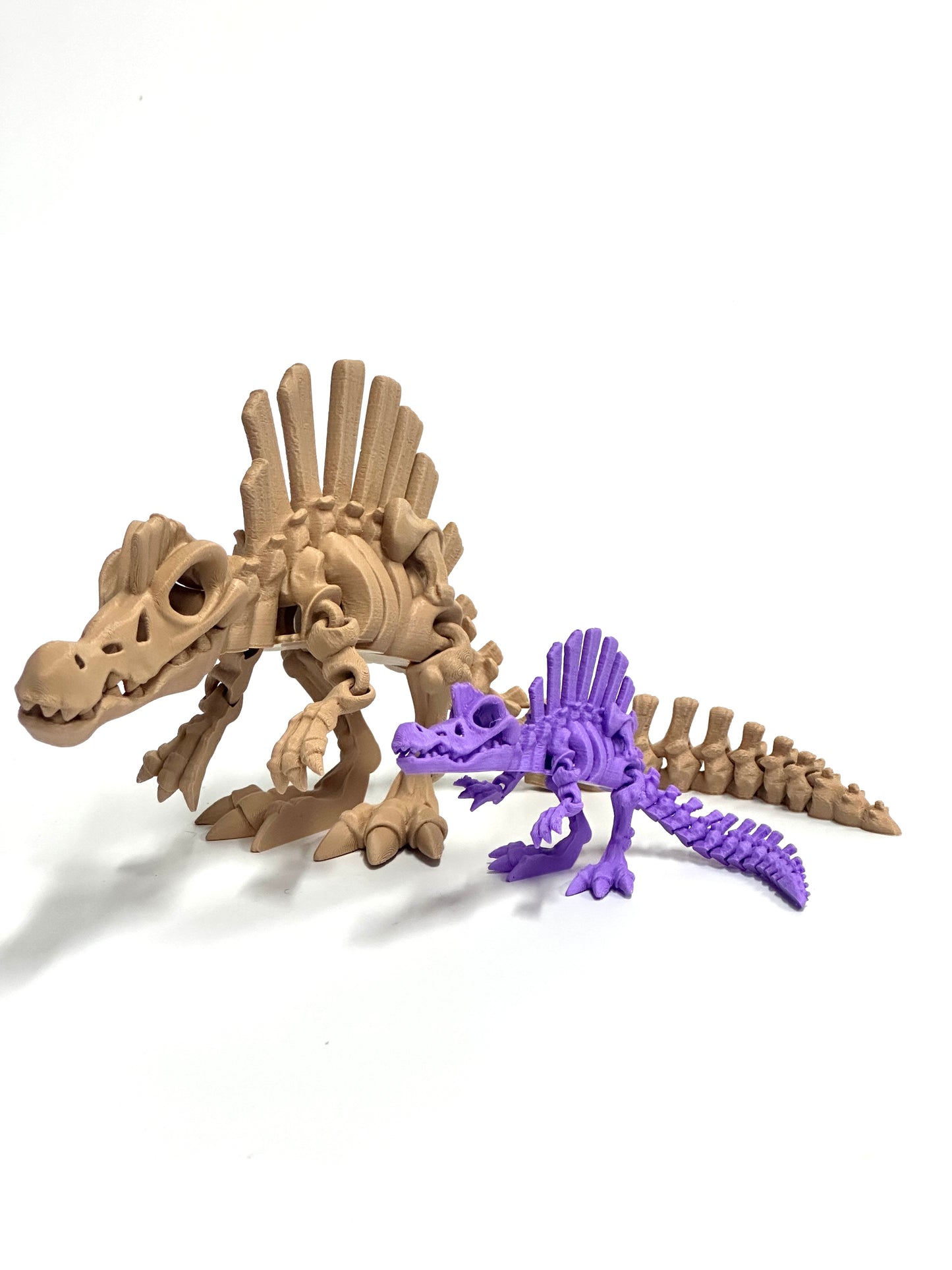 Skeleton Spinosaurus