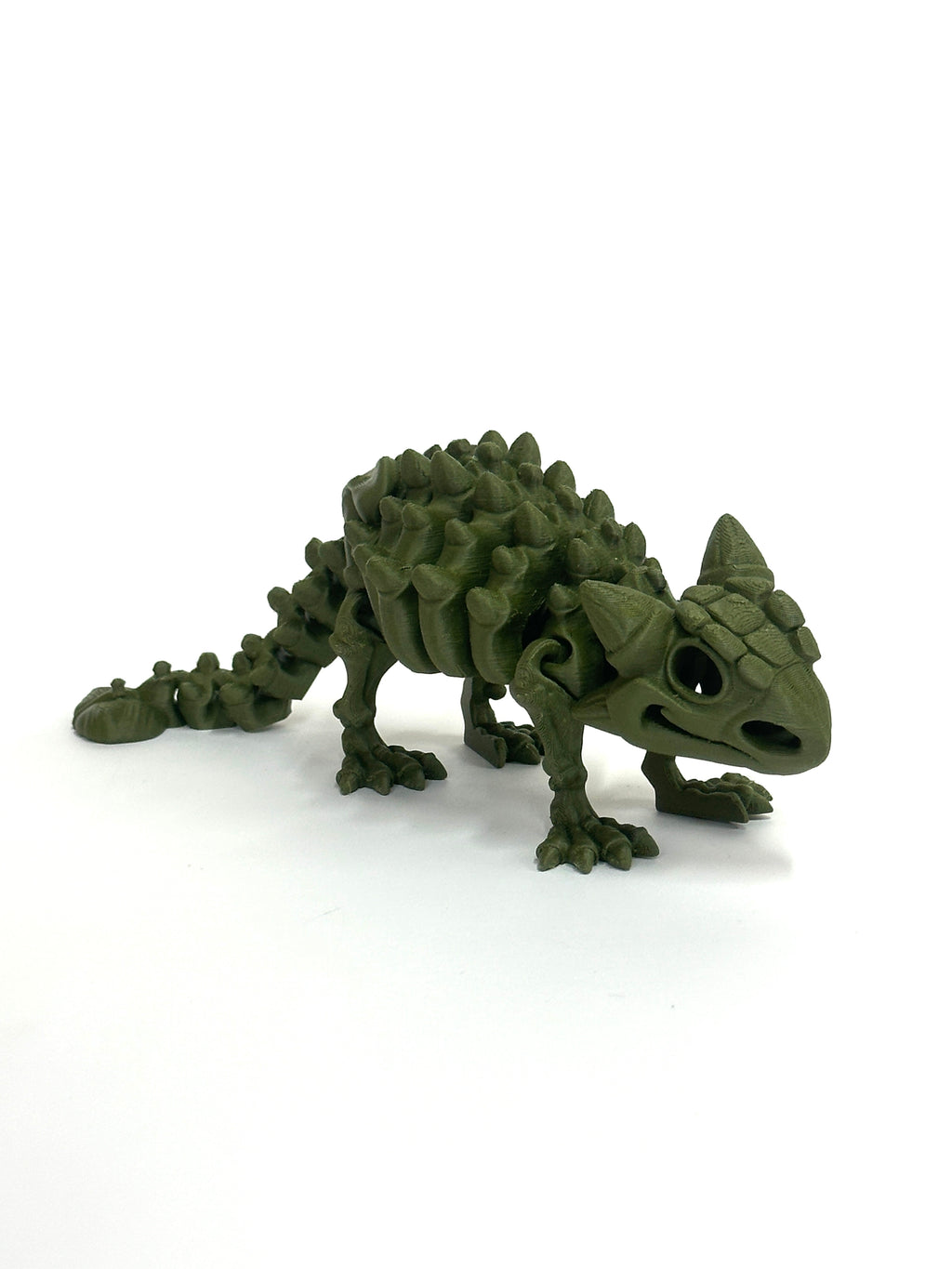 Skeleton Ankylosaurus