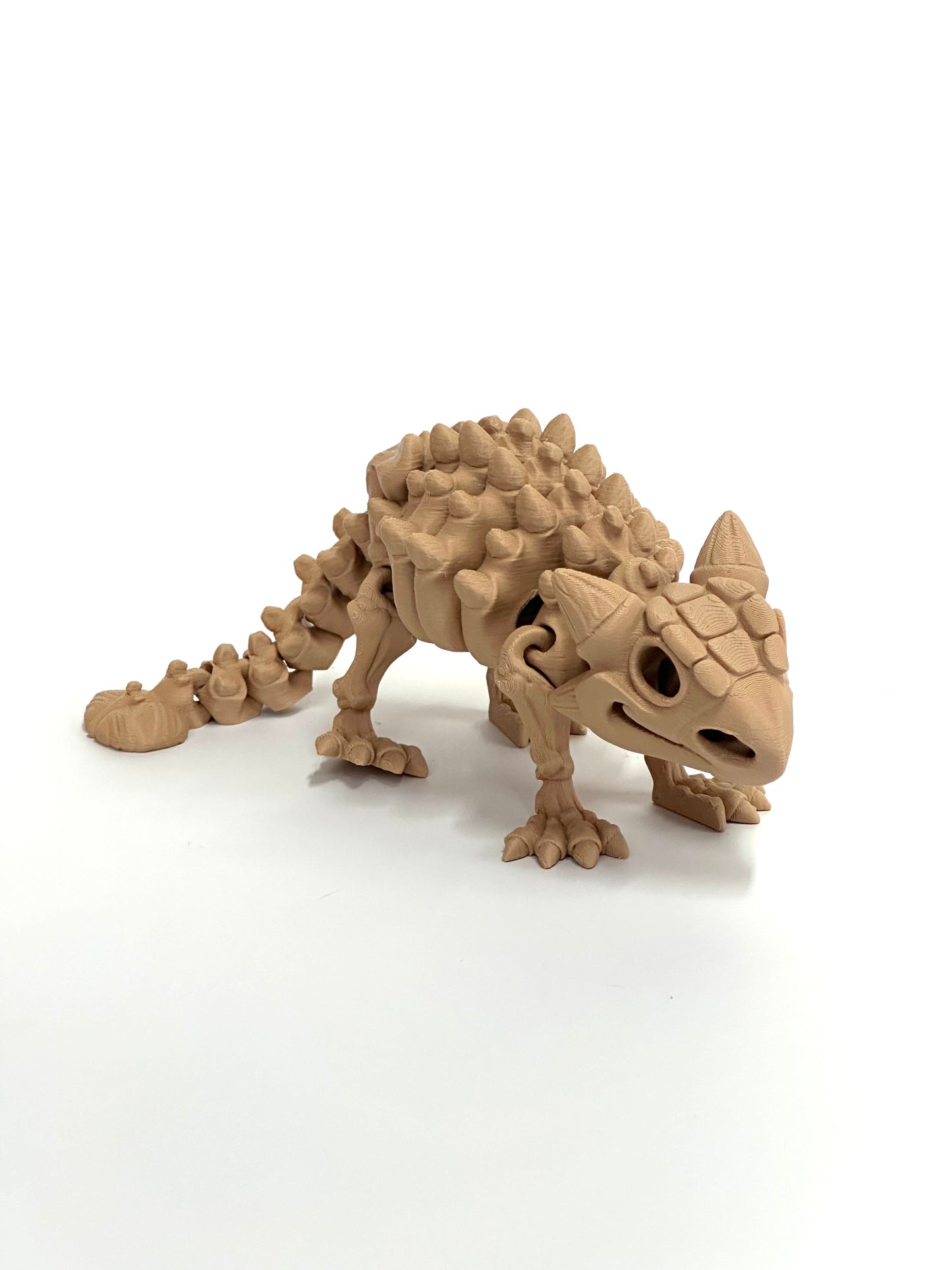 Skeleton Ankylosaurus