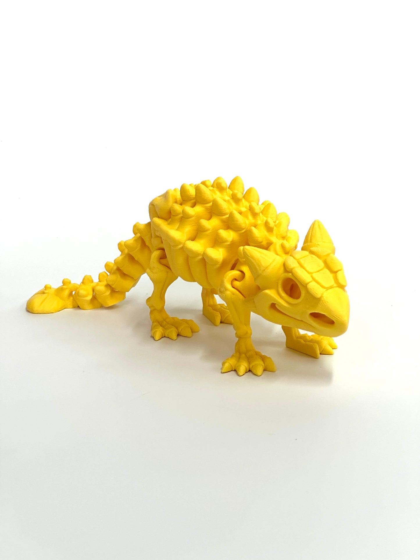 Skeleton Ankylosaurus