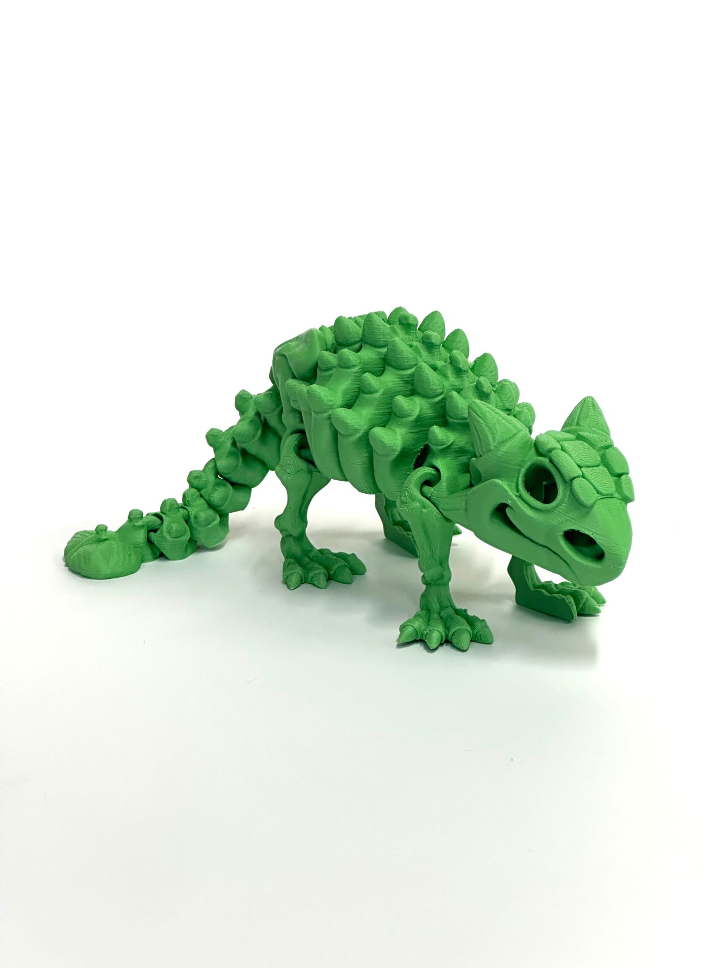 Skeleton Ankylosaurus