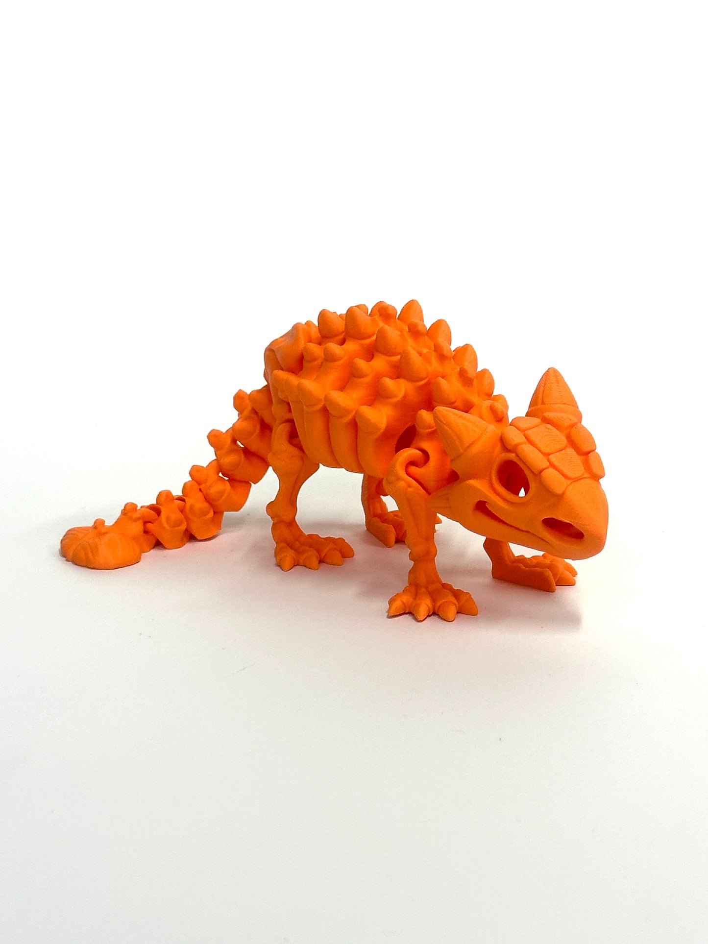 Skeleton Ankylosaurus