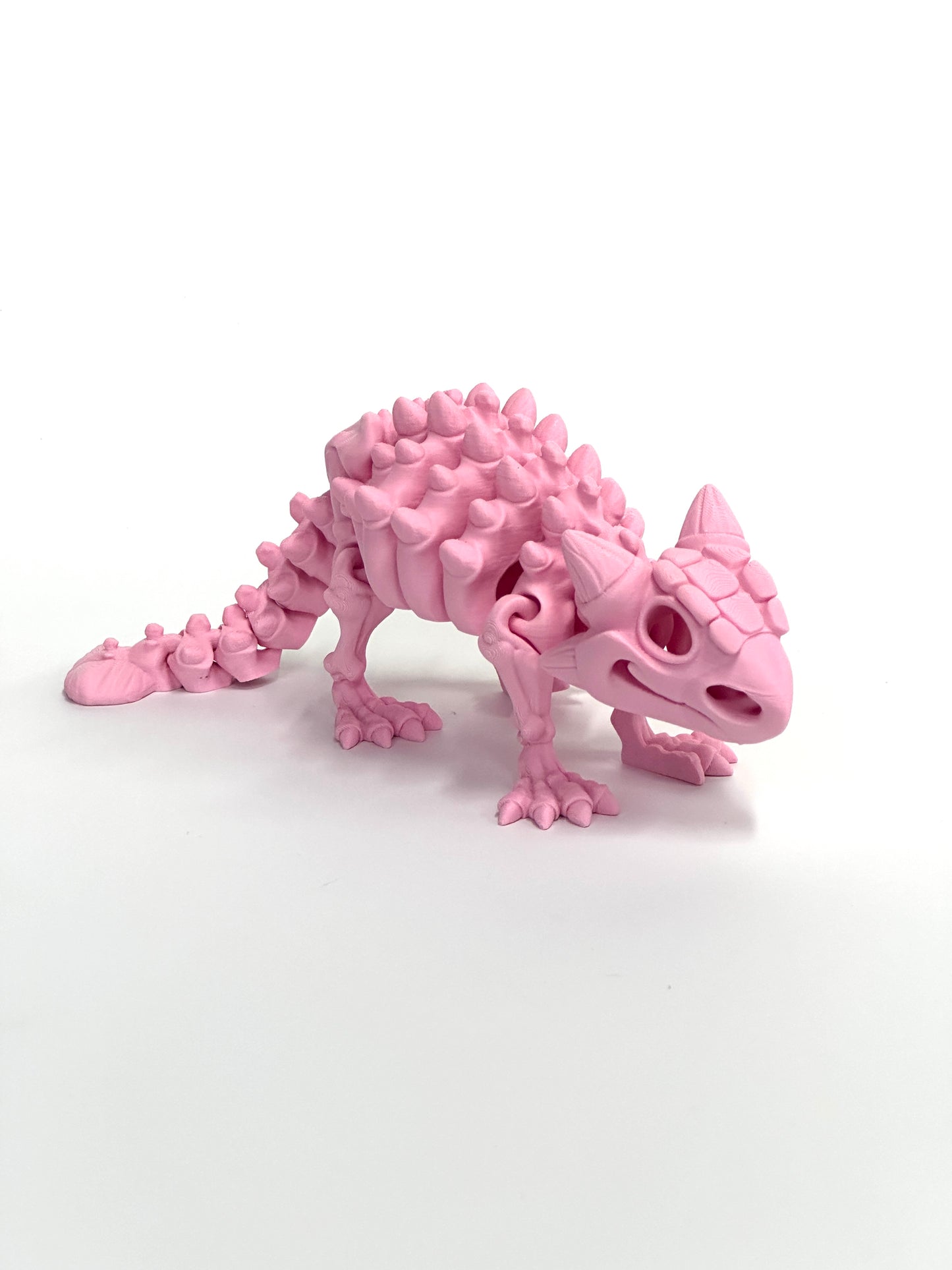 Skeleton Ankylosaurus