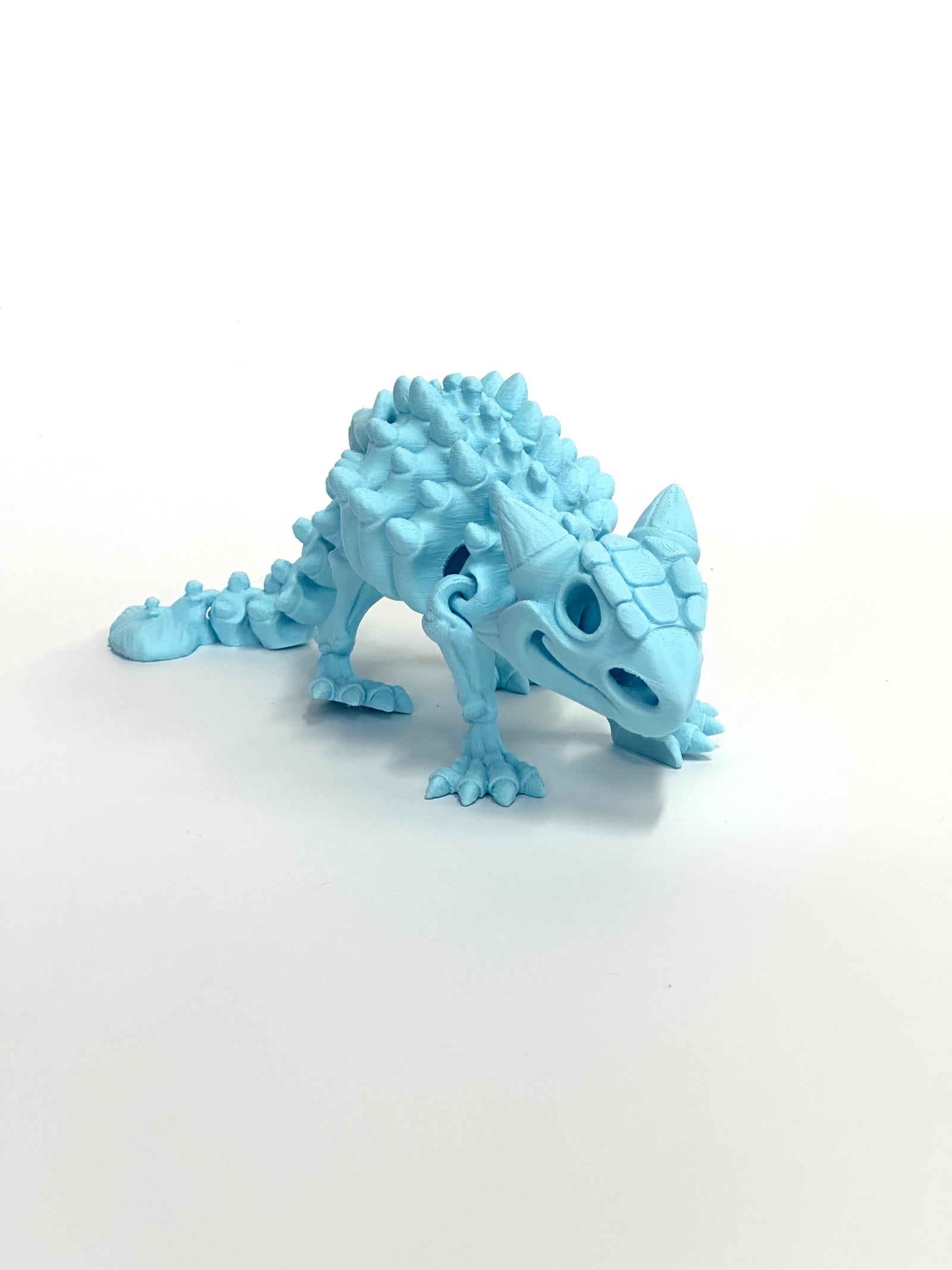 Skeleton Ankylosaurus