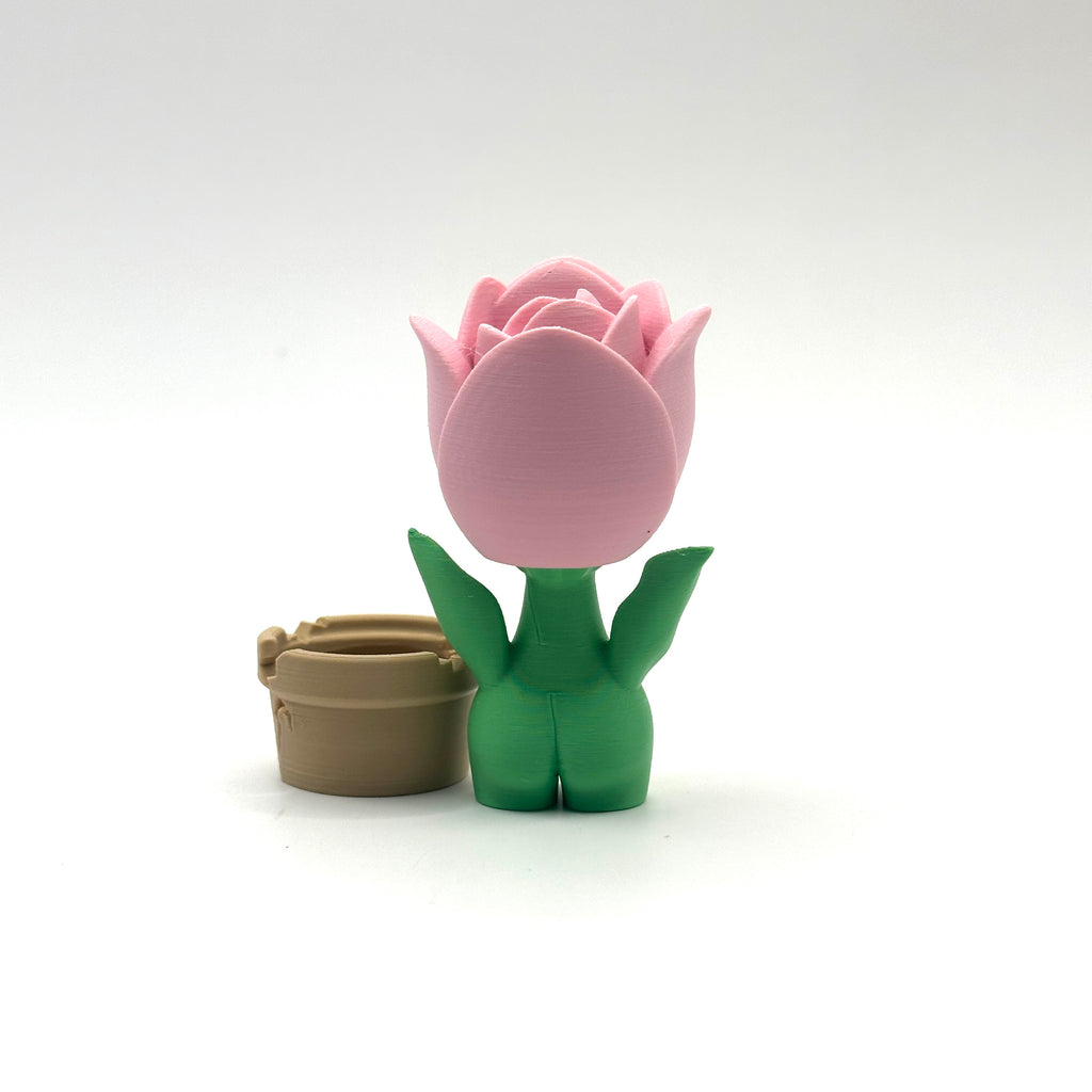Tulip