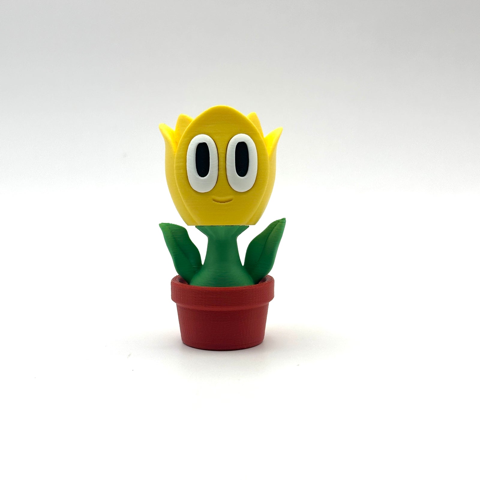 Tulip