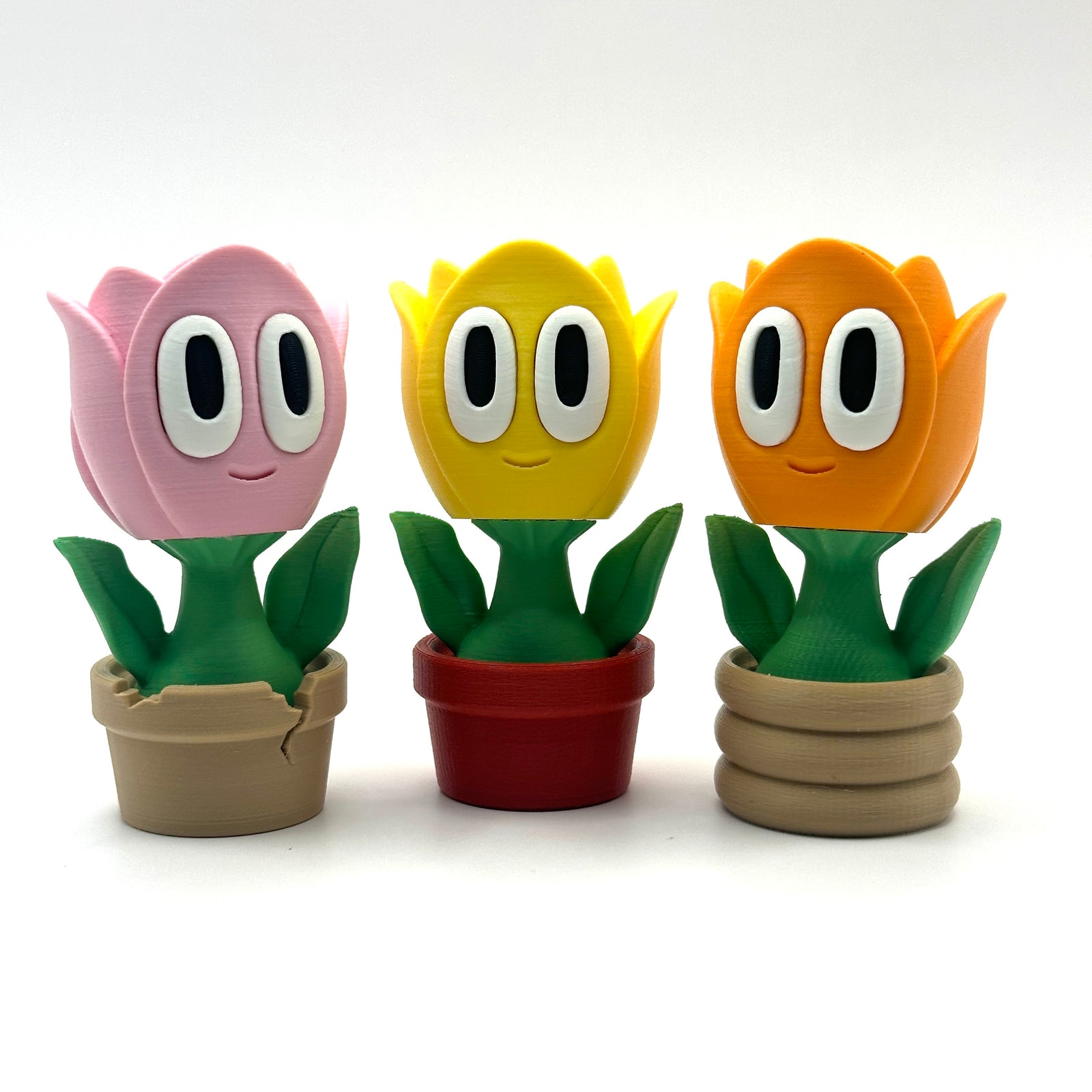 Tulip
