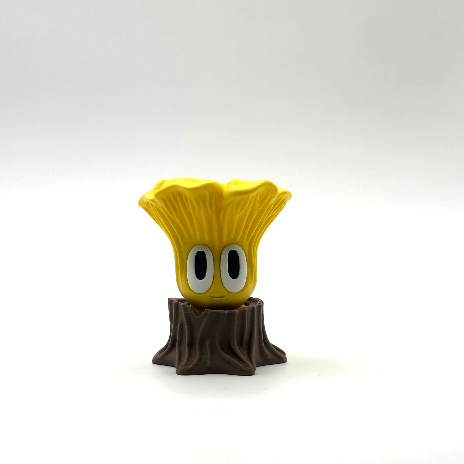 Chanterelle Mushroom
