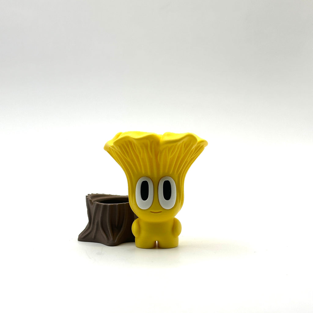 Chanterelle Mushroom