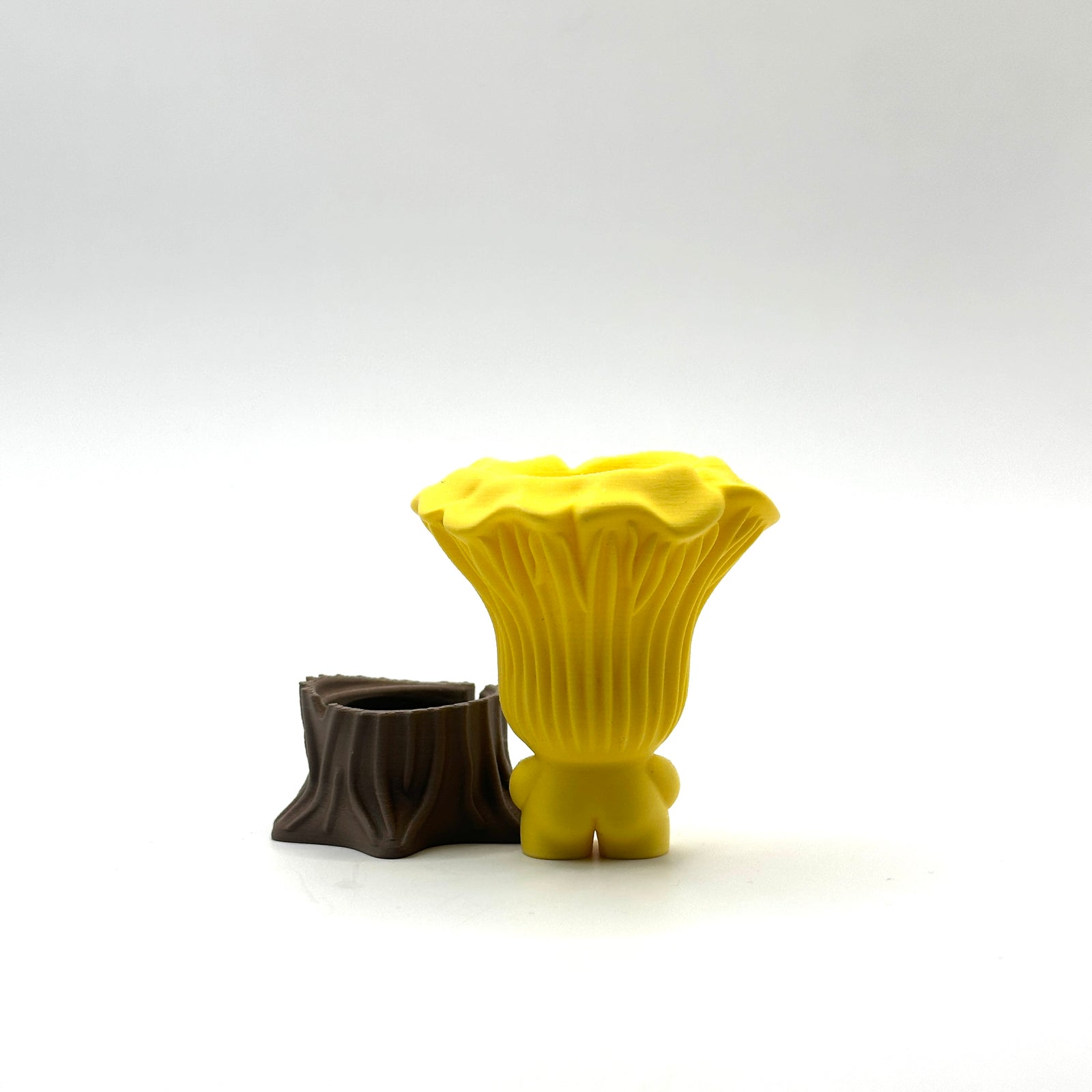 Chanterelle Mushroom