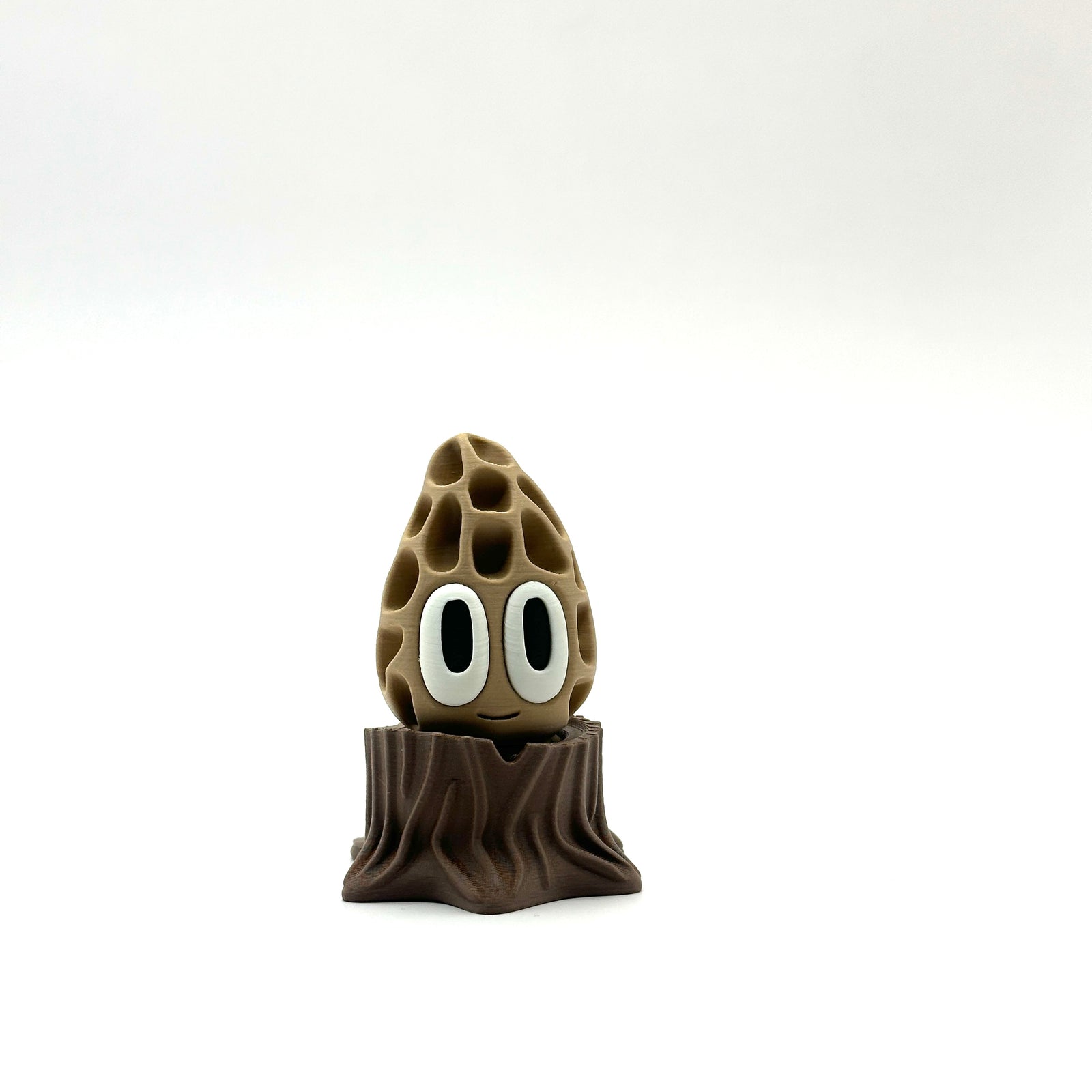 Morel Mushroom