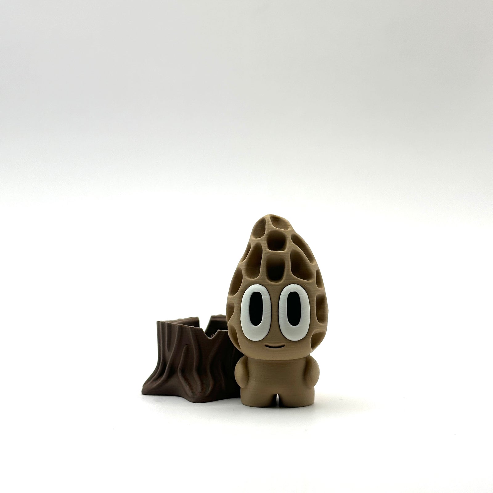 Morel Mushroom