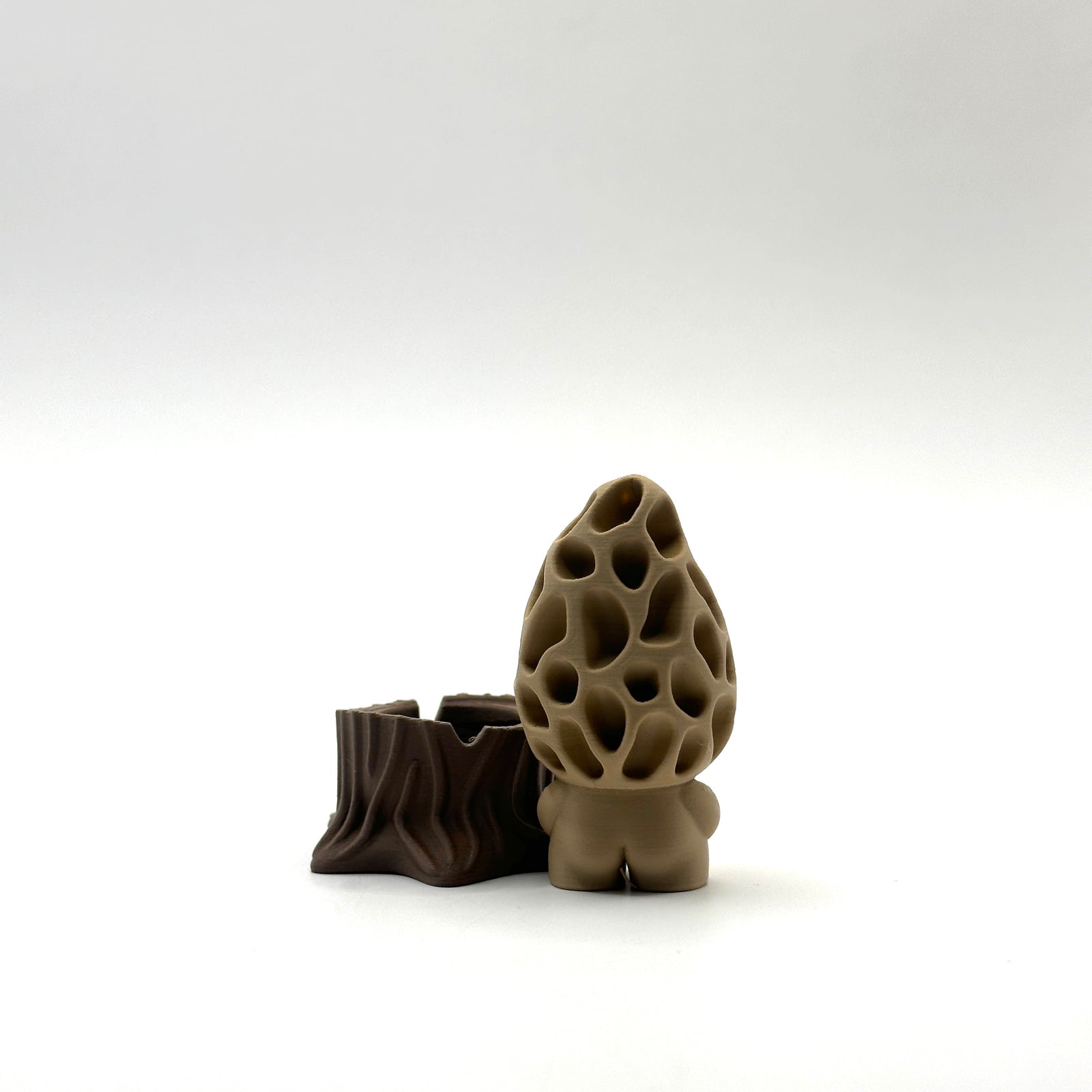Morel Mushroom