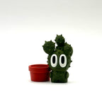 Prickly Pear - Desk Buddy