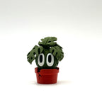 Monstera - Desk Buddy