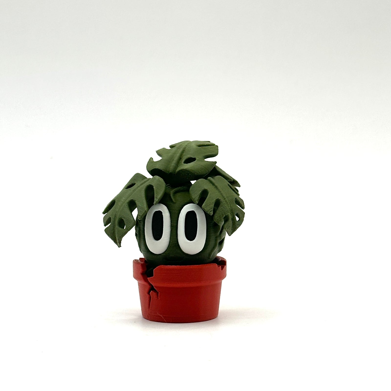 Monstera - Desk Buddy