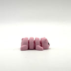 Mini Pig