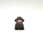 Mini Highland Cow
