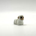 Mini Sheep