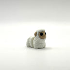 Mini Sheep