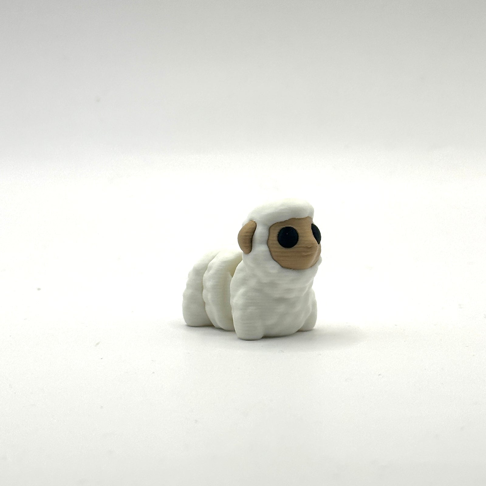 Mini Sheep