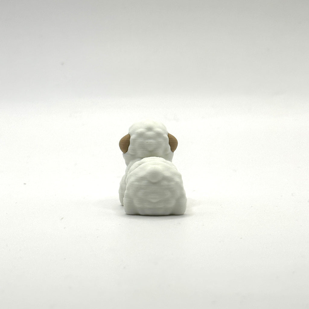 Mini Sheep