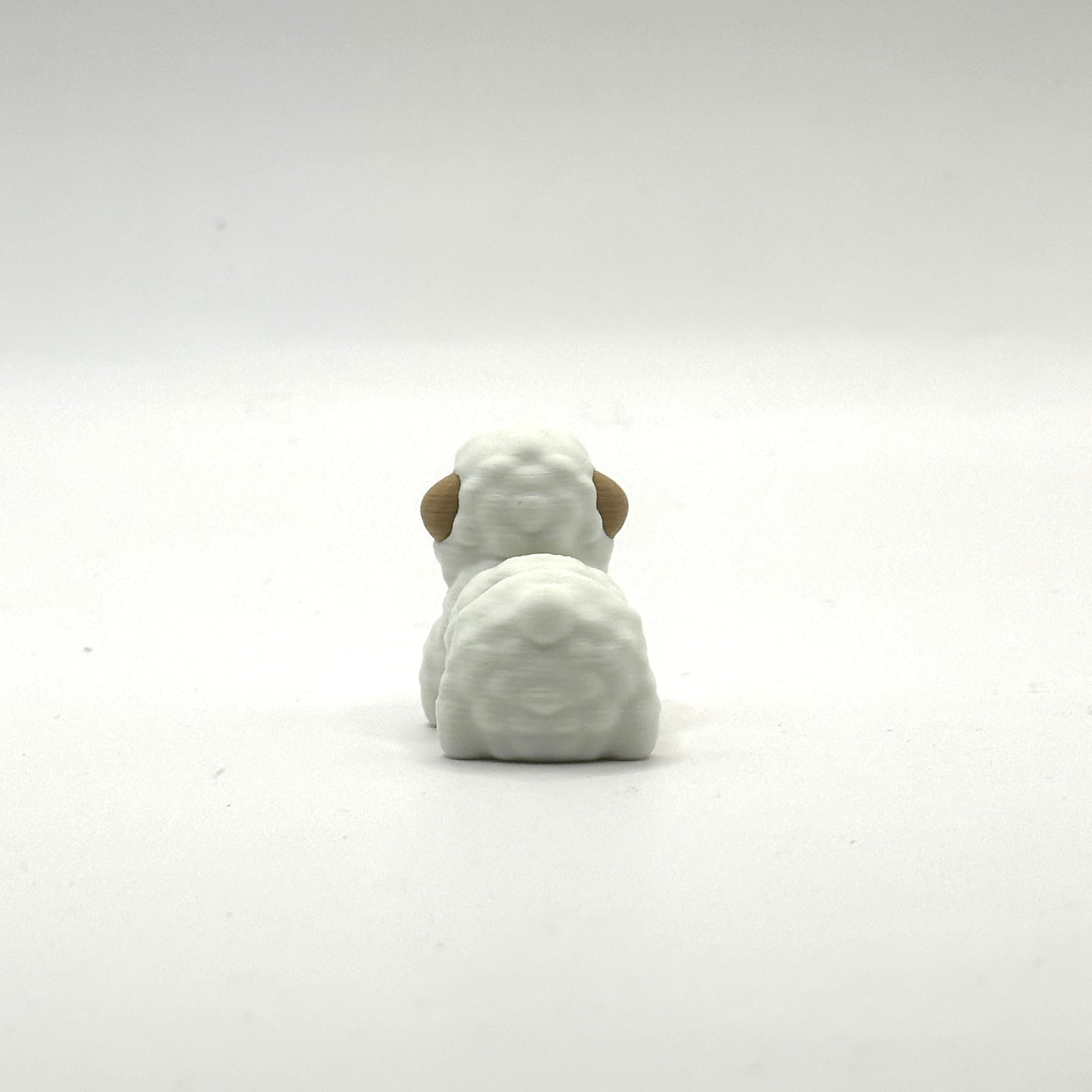 Mini Sheep