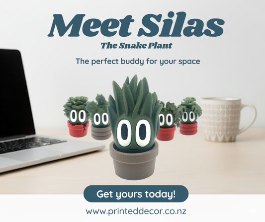 Promotional image of a snake plant with cartoon faces on a desk with a laptop and mug.