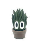 Green cartoon-style plant with large eyes in a pot on a white background
