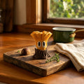 Chanterelle Mushroom desk buddy in a cosy NZ home setting
