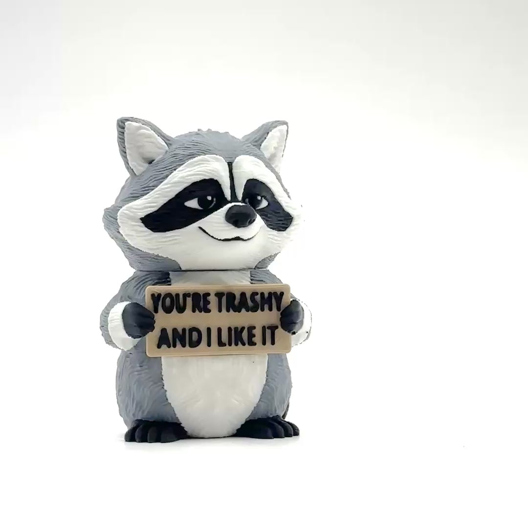 You're Trashy and I Like It Raccoon desk buddy — turntable video