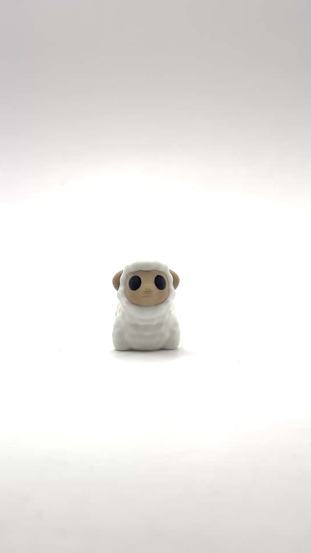 Mini Sheep