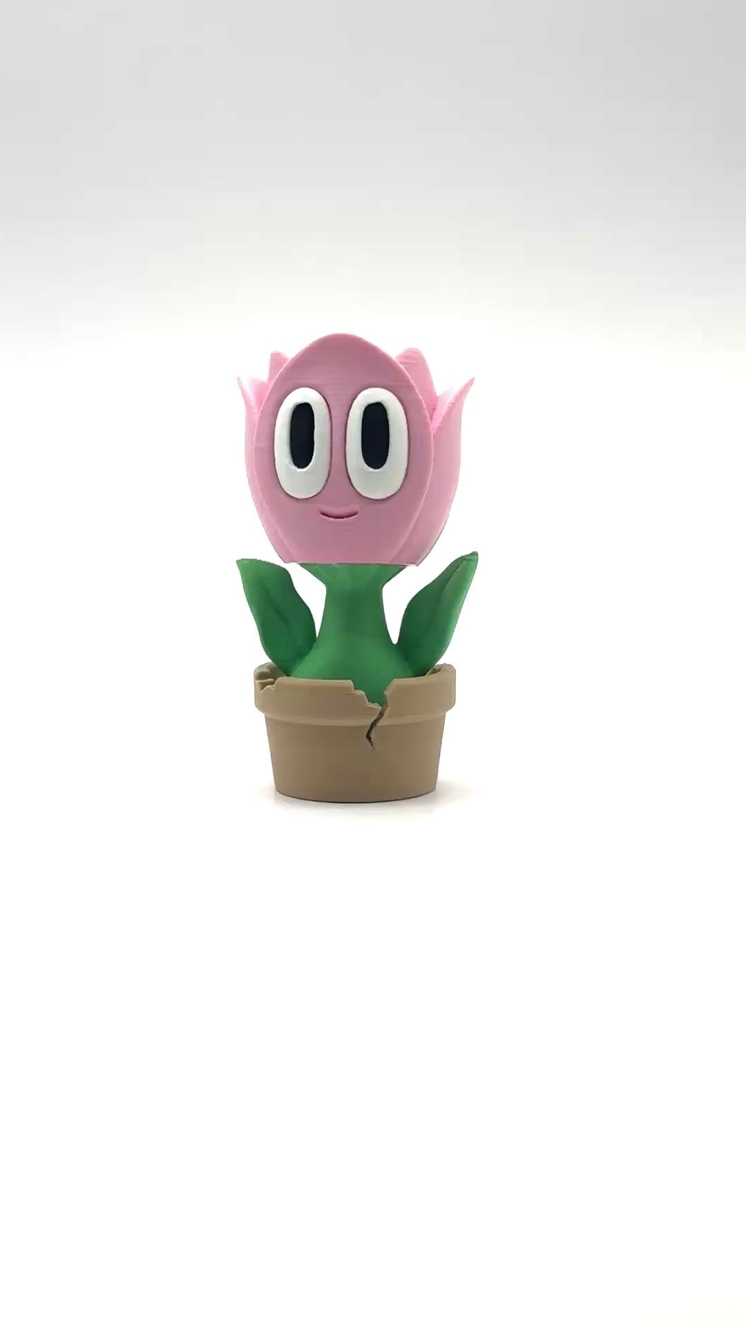 Tulip