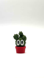 Prickly Pear - Desk Buddy
