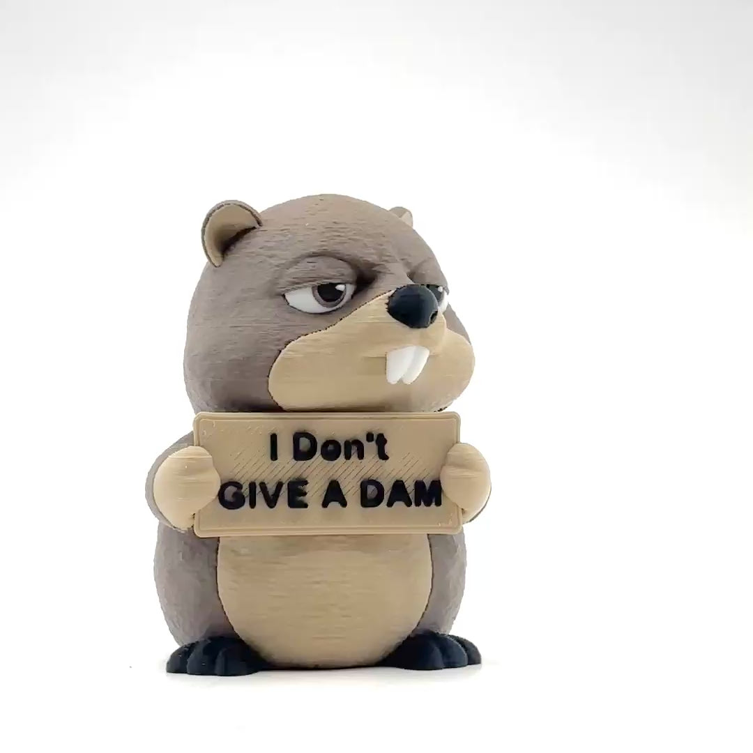 I Don't Give a Dam Beaver desk buddy — turntable video